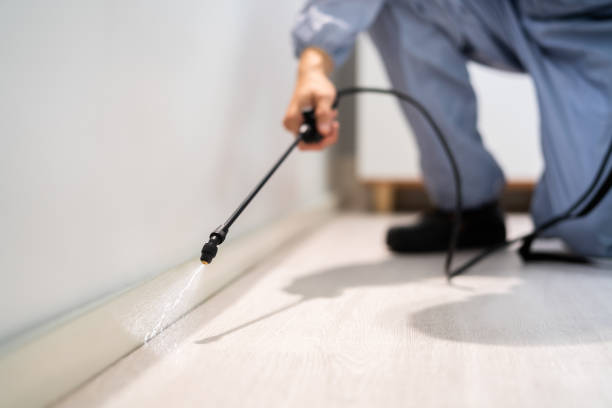 Licensed Fumigation Services service in Exmore, VA - Nex Pest Control