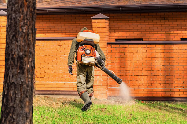 Top rated local Fumigation Services specialists in Exmore, VA